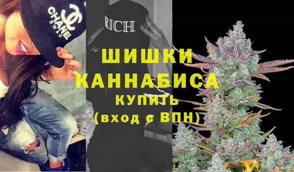 ПСИЛОЦИБИНОВЫЕ ГРИБЫ Абаза