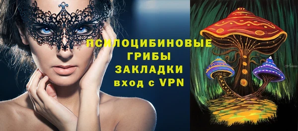 ПСИЛОЦИБИНОВЫЕ ГРИБЫ Абаза