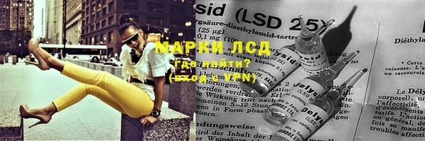 ПСИЛОЦИБИНОВЫЕ ГРИБЫ Абаза