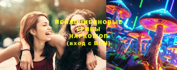 стафф Алексин