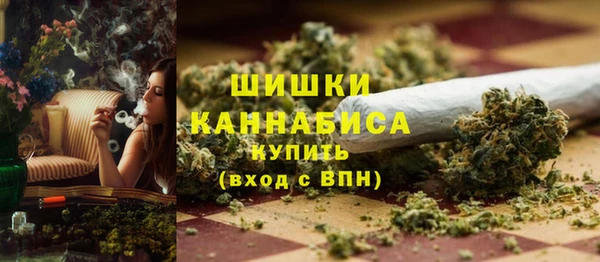 ПСИЛОЦИБИНОВЫЕ ГРИБЫ Абаза