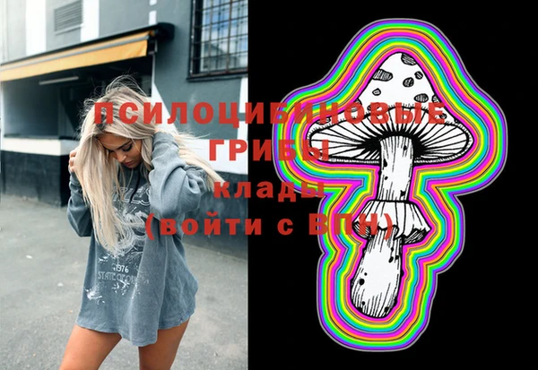 стафф Абинск