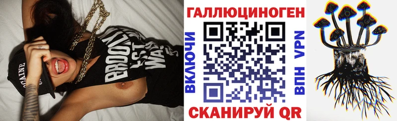 Галлюциногенные грибы мицелий как найти наркотики Дубна