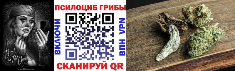 Галлюциногенные грибы Cubensis Дубна
