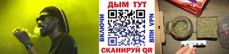 Канабис SATIVA & INDICA Дубна